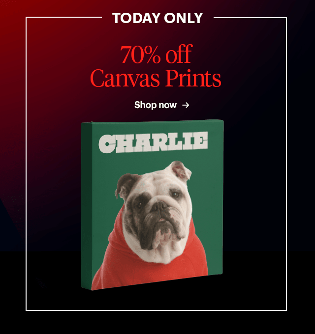  DAY ONLY 70% off Canvas Prints EL LTS 